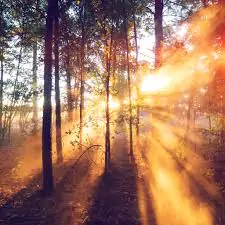 whatsapp dp sunrise